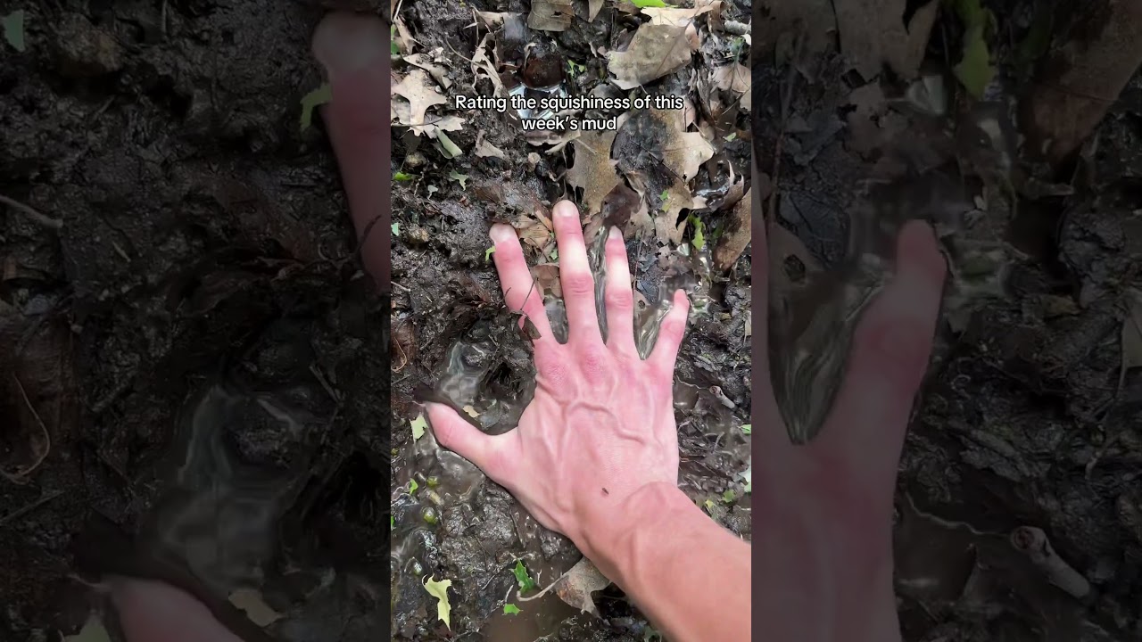 investigating mud