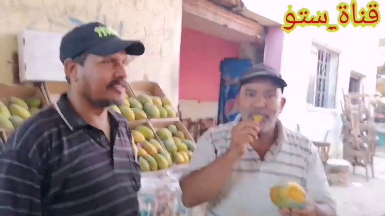 المانجو فجر كلان اتعرف عليها في الفيديو ده انخفاض في الاسعار