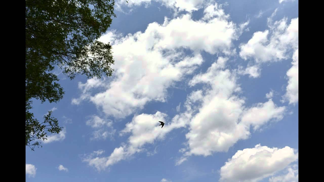 miwa　オールナイトニッポン生歌　「BLUE BIRD」