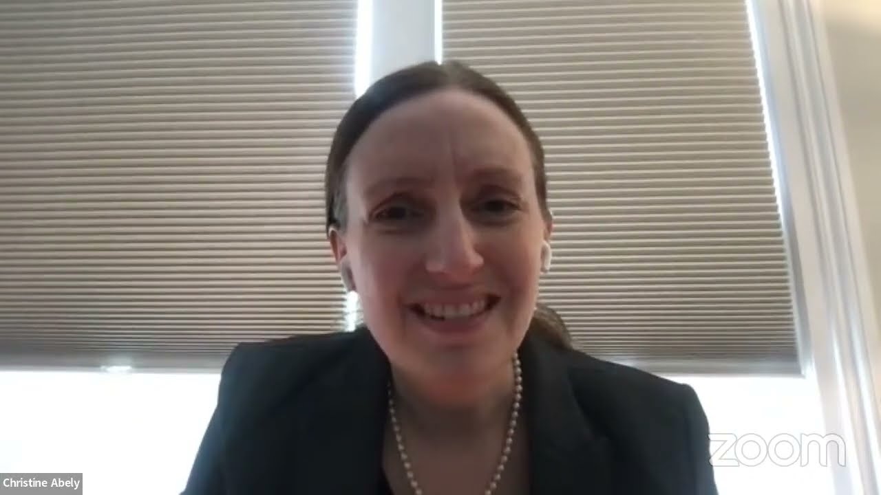 Authors' Roundtable on Sanctions and Economic Statecraft