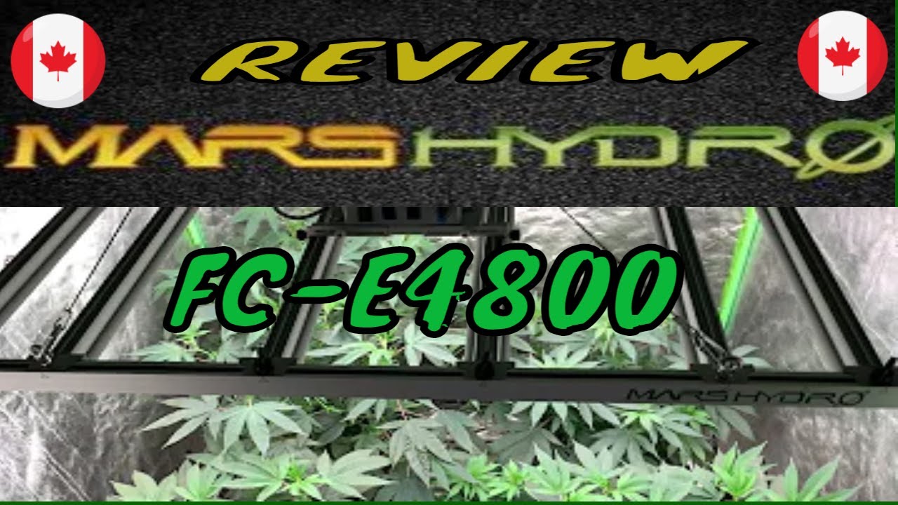 Blowup A 4x4 Grow Space With A MarsHydro FC-E4800 Gets Great Review From Kush Santa #marshydroreview