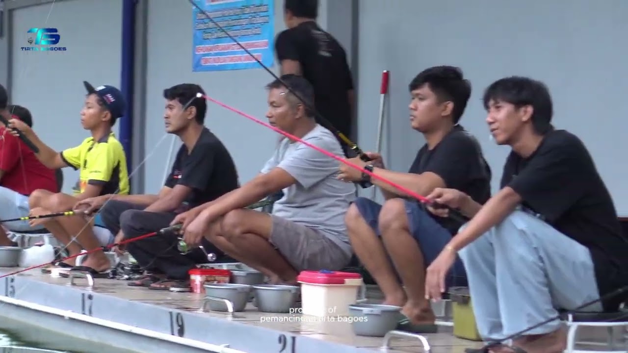 IKAN BAWAL BRUTAL BANYAK YANG STREK KOLAM PEMANCINGAN TIRTA BAGOES PURWOREJO 