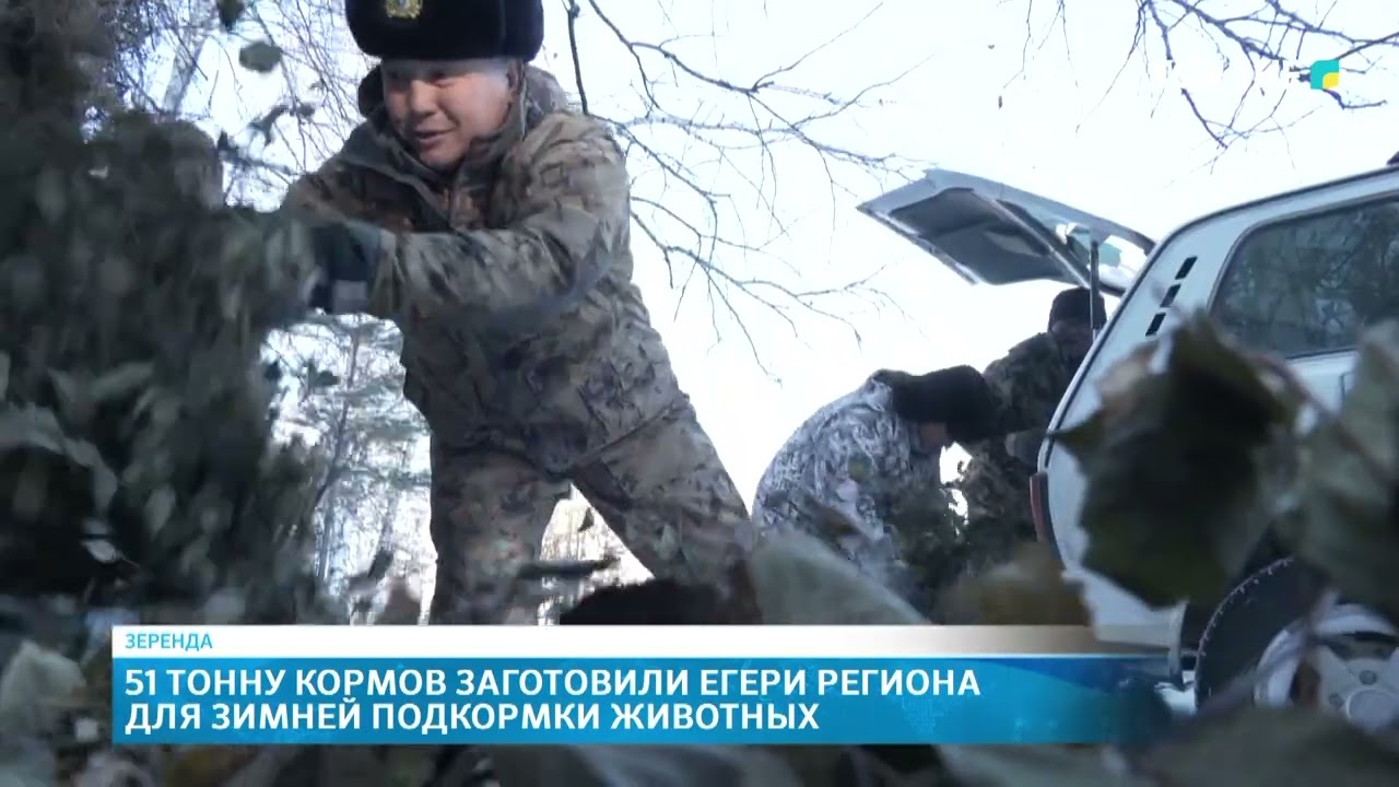 51 тонну кормов заготовили егери региона для зимней подкормки животных