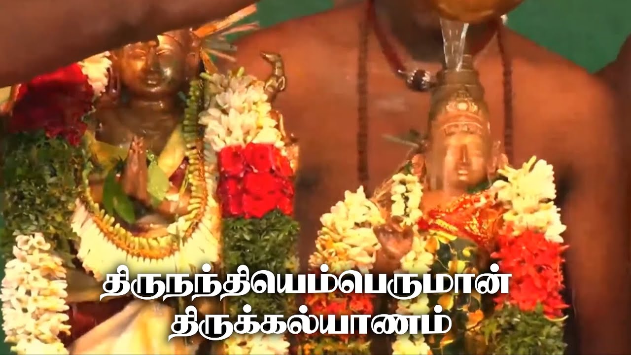அருள்மிகு வைத்தியநாத சுவாமி திருக்கோவில் திருநந்தியெம்பெருமாள் திருக்கல்யாணம் || திருமழபாடி