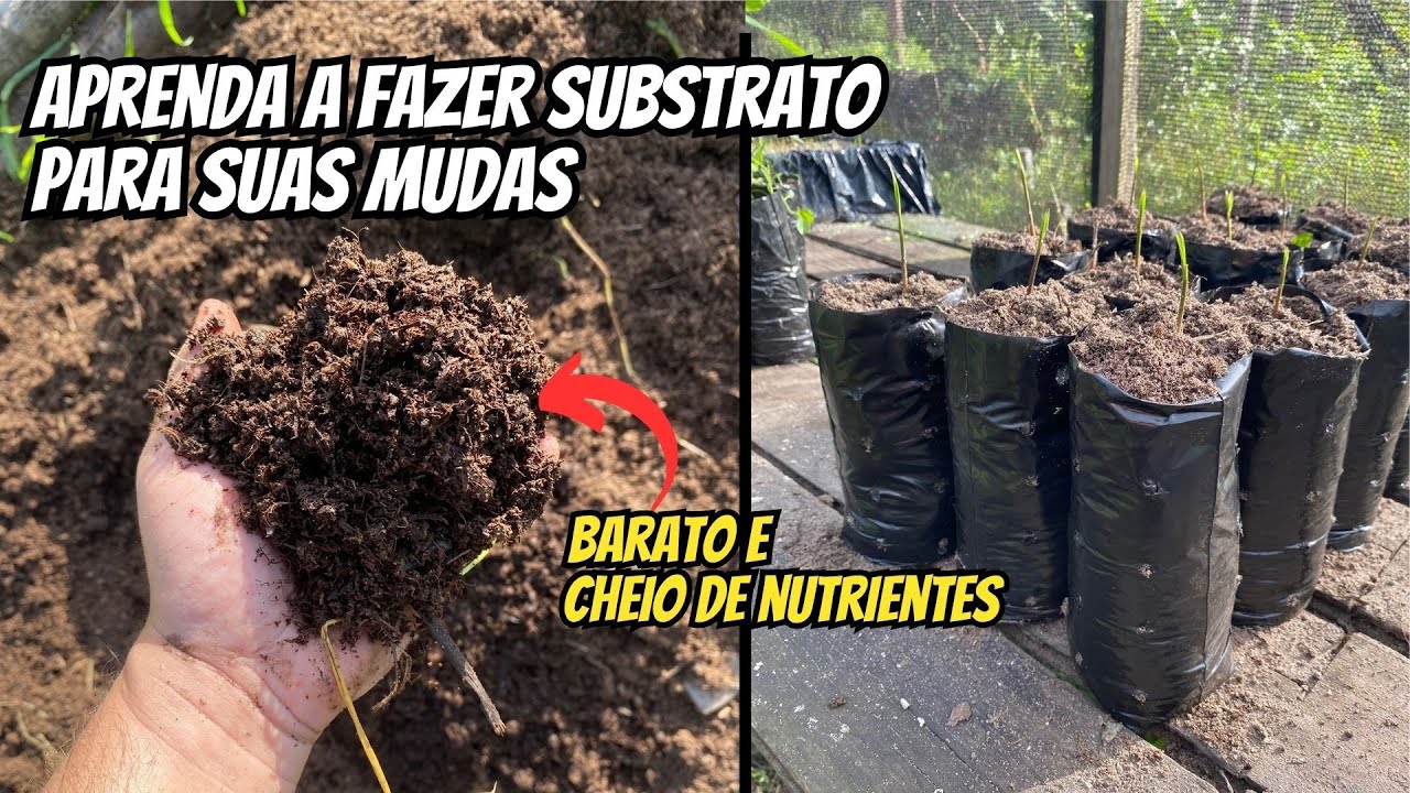 Como fazer um excelente substrato para mudas? (DE FORMA SIMPLES E BARATA)