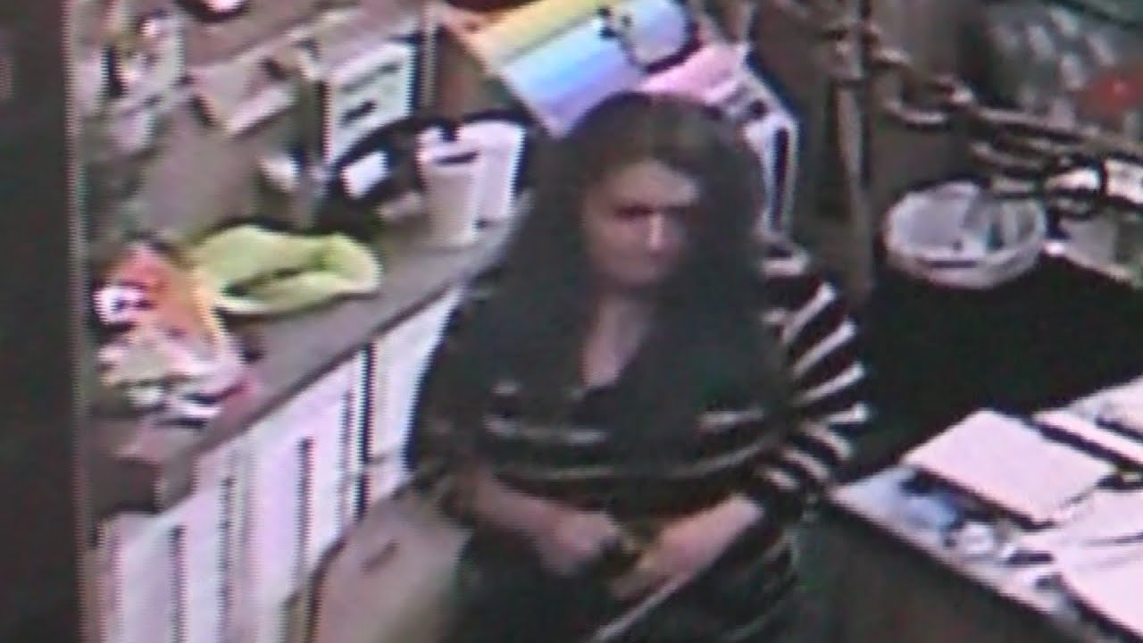 Cameras catch suspected purse thief