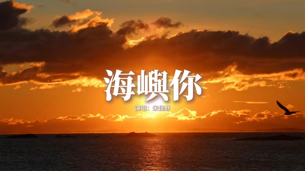 宋佳野 - 海嶼你『可是我 不想我們就這樣子算了，回憶的點滴像風暴快把我吞沒，承諾都是騙我，你虧欠我太多。』【動態歌詞MV】