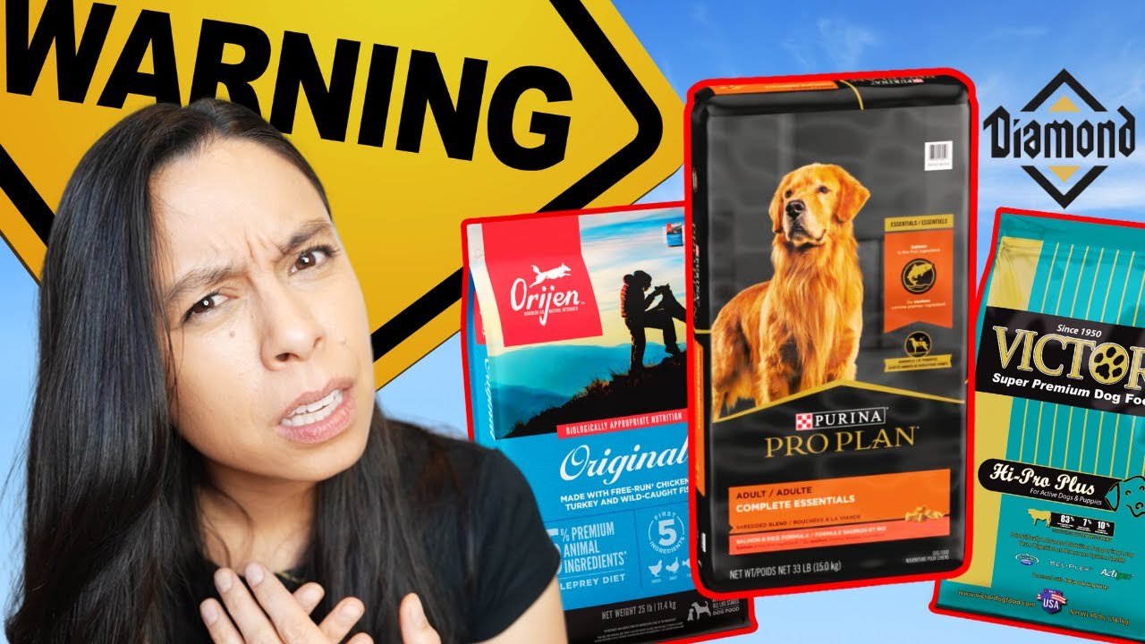 4 лучших корма для собак, которые стоит избегать?! 😳 Purina, Orijen, Victor и Diamond