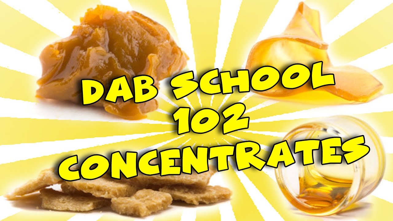 DAB SCHOOL 102 - What Are Dabs? Cannabis Concentrate Basics