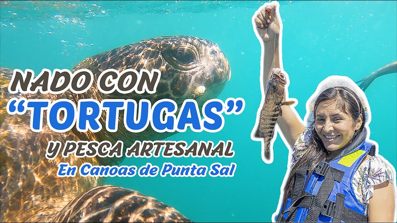 Nadando con TORTUGAS y pesca artesanal en Canoas de Punta Sal