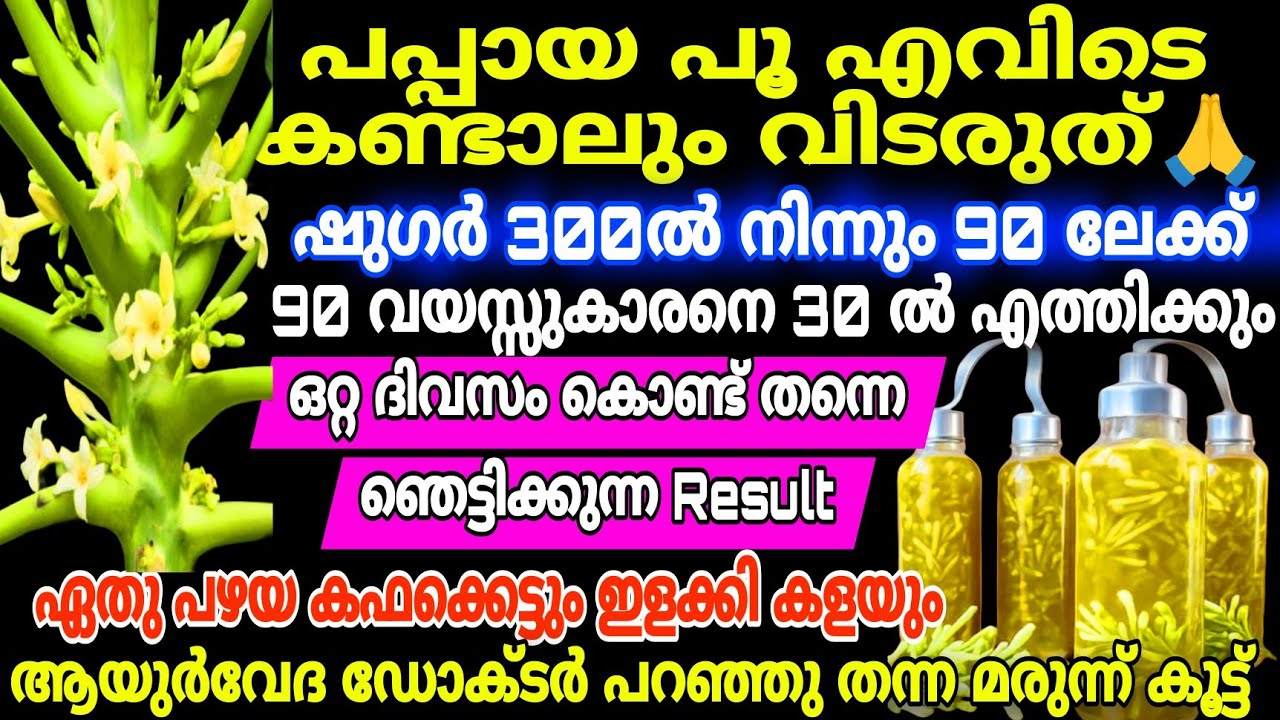 പപ്പായയുടെ പൂ എവിടെ കണ്ടാലും വിടരുത് | ഷുഗർ 300 ഇൽ നിന്നും 90 ലേക്ക് | ഇതൊന്നുമതി 100 കാര്യം ചെയ്യാം