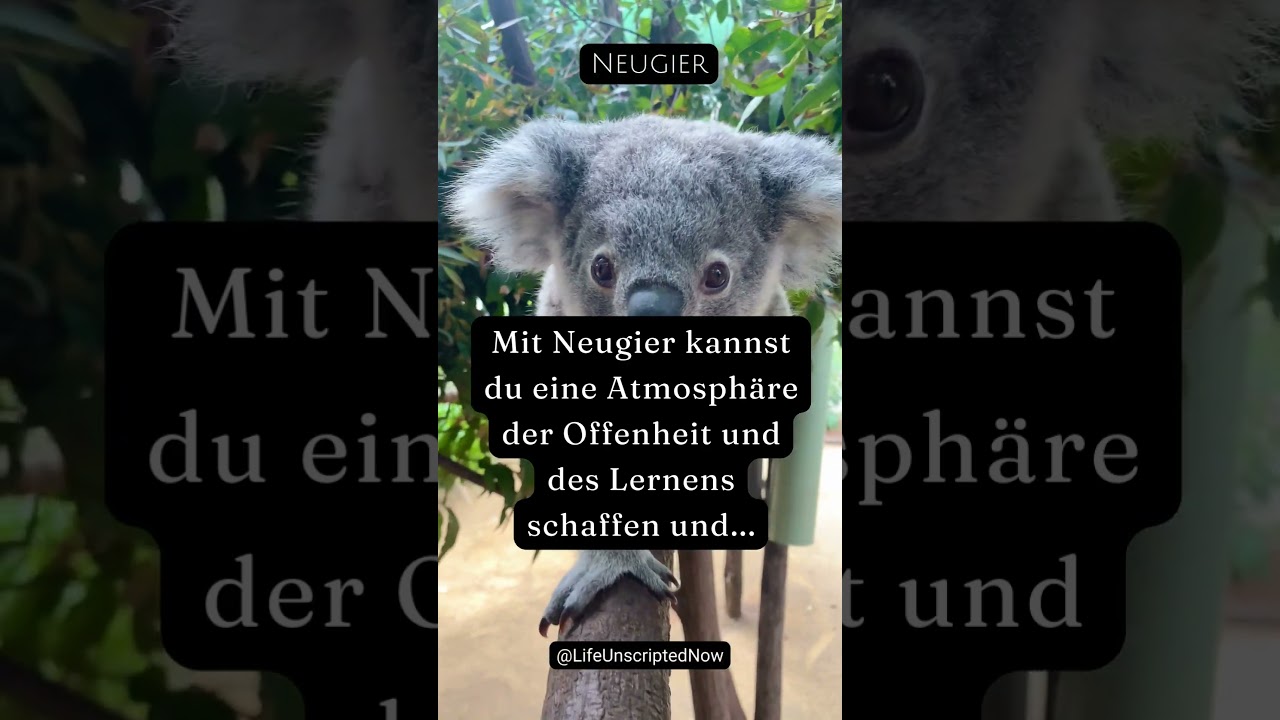 Die Schaffung einer Atmosph&auml;re der Offenheit und des Lernens durch Neugier