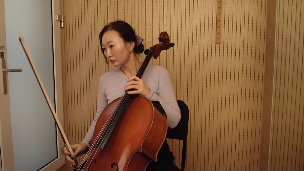 Schumann - Fantastische stücke Op.73, poor 3rd movement :( non-professional cello practice