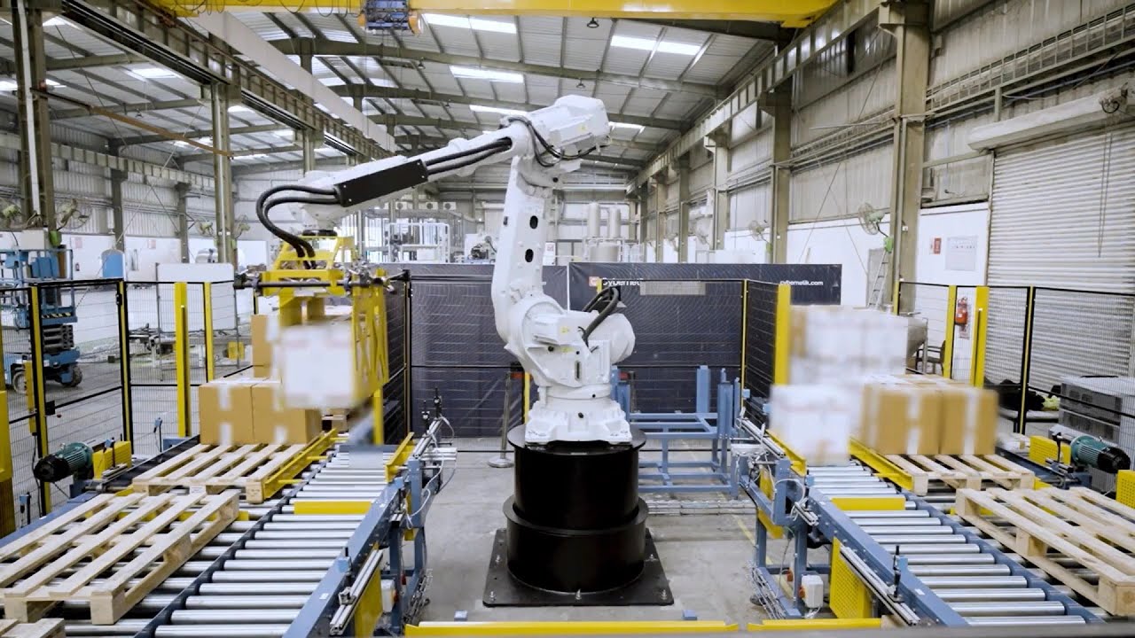 Box Palletizing Robot Stacks Multiple Boxes at Once