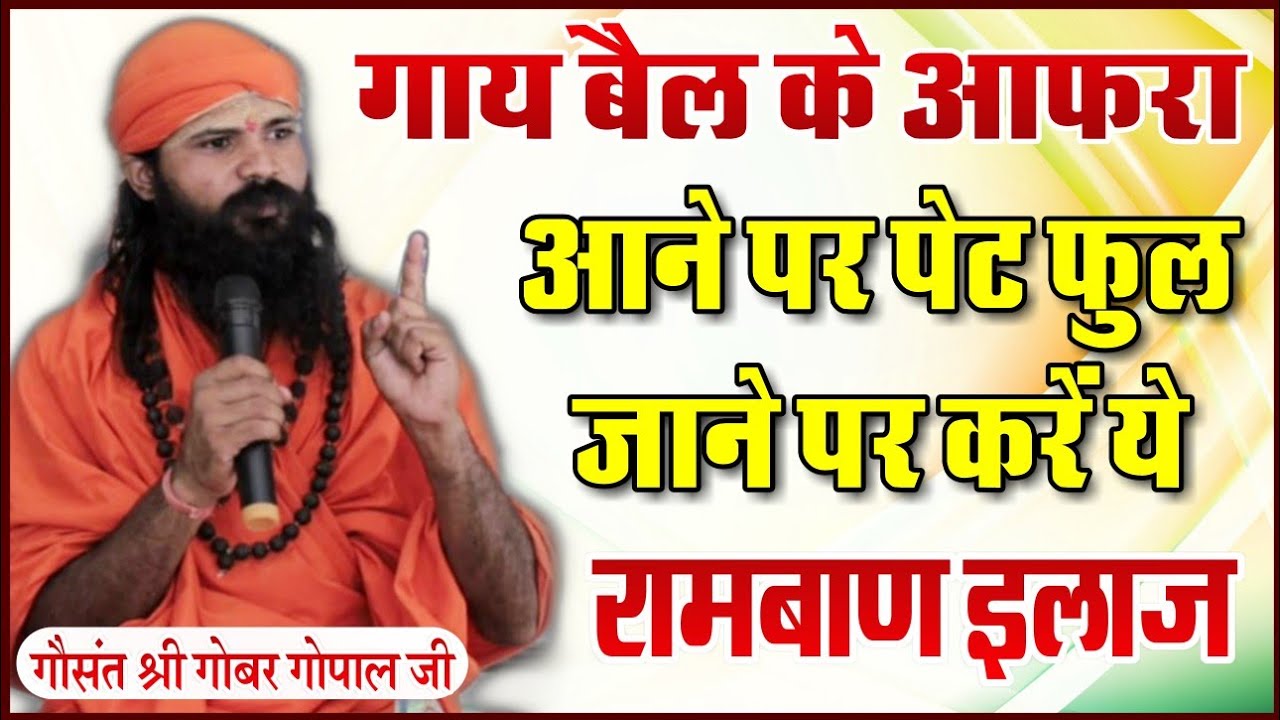 गाय बैल के आफरा आना, पेट फूल जाना, गैस बन जाने पर करें ये देसी घरेलू इलाज - गौसंत श्री गोबर गोपाल जी