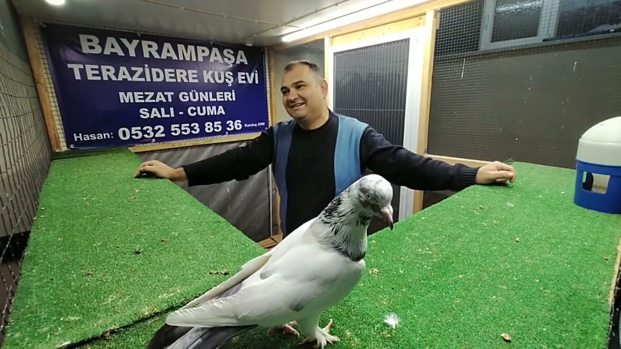 TERAZİDERE KUŞ EVİ CUMA AKŞAMI MEZATIMIZ 