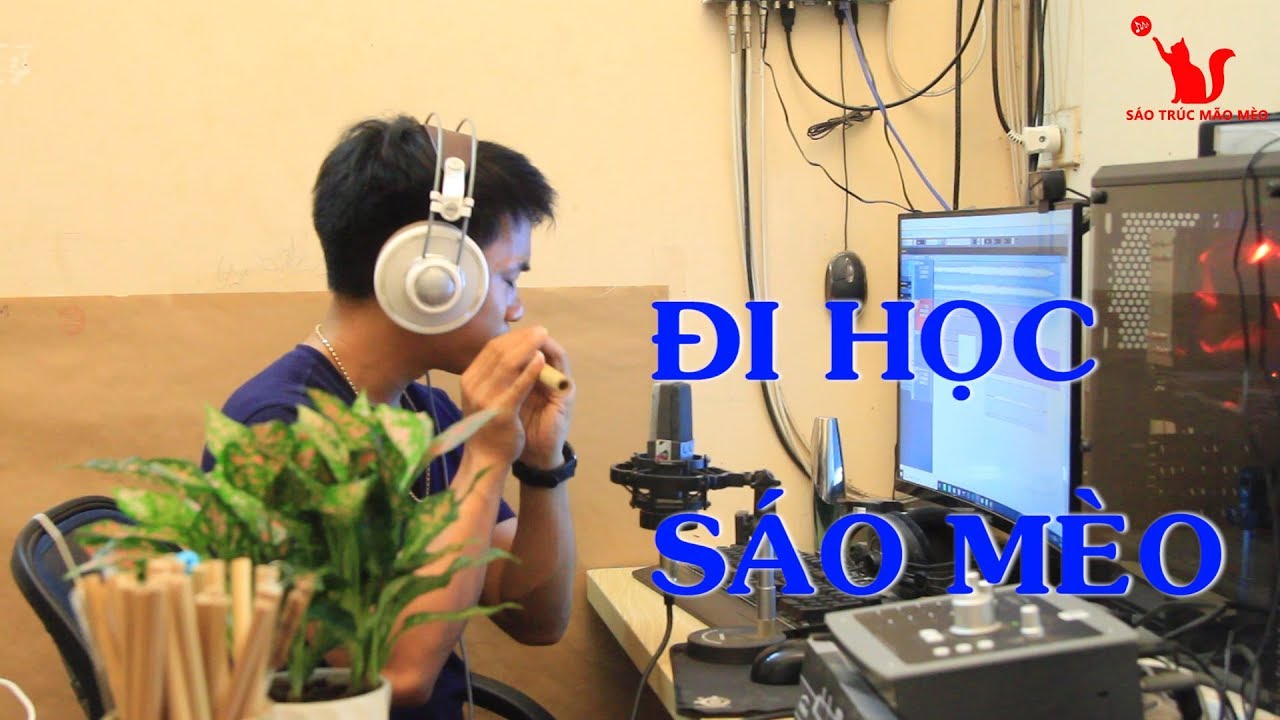 Đi Học Sáo Mèo   Mão Mèo
