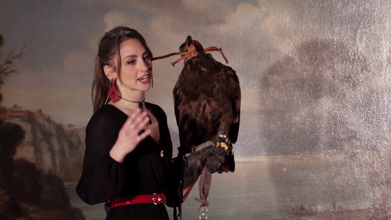 Falconeria, una passione, uno stile di vita. | Selene Pulcini | TEDxBolognaWomen