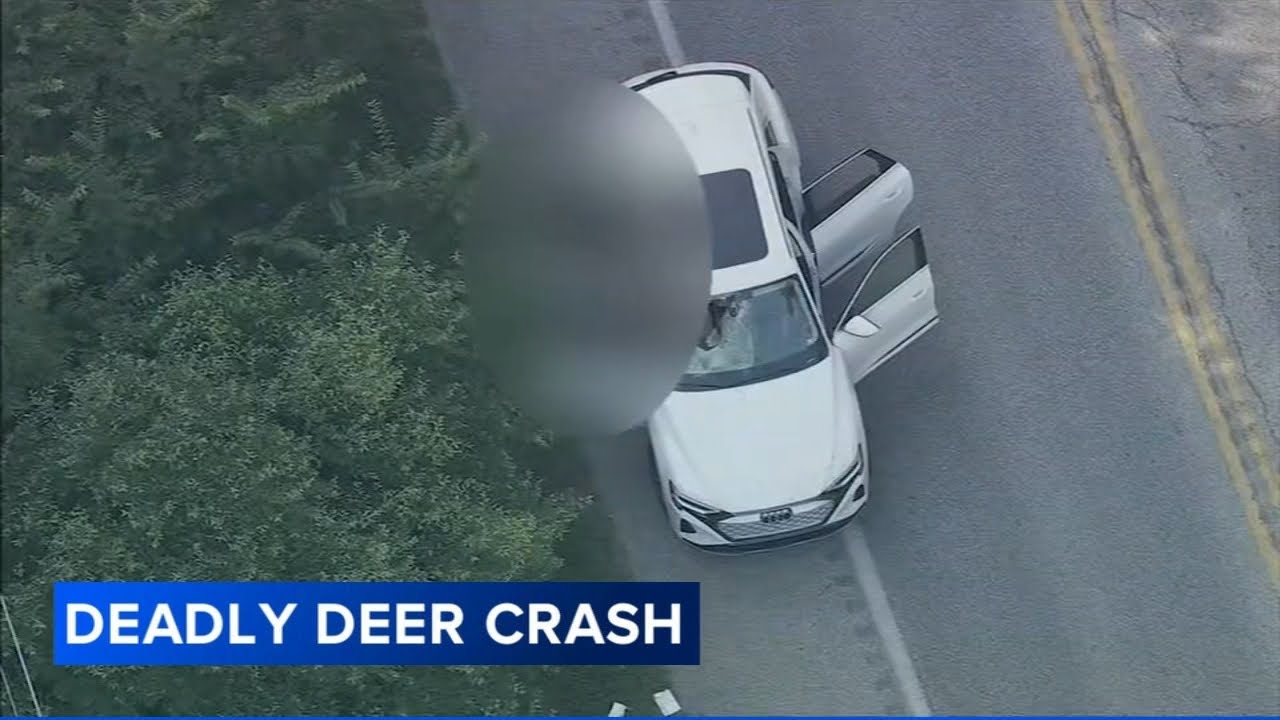 Juvenile killed in freak accident involving deer on Route 322 in Chester County