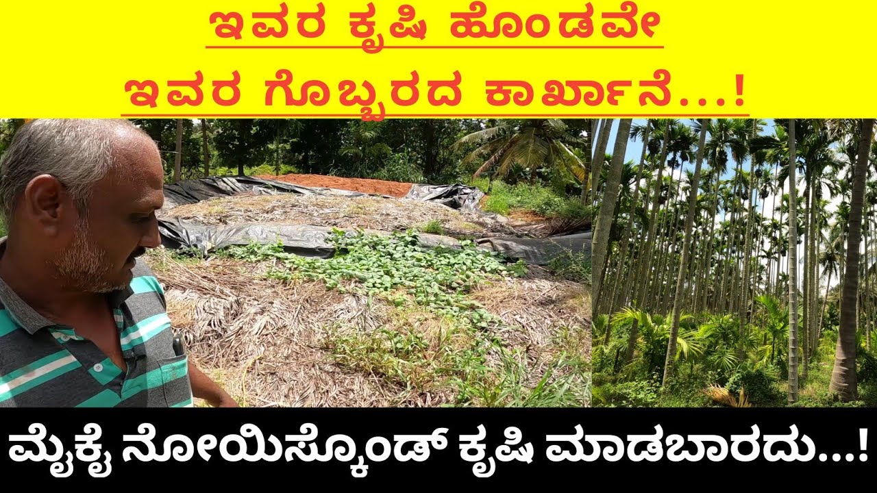ಕೆಮಿಕಲ್ ಕೃಷಿ ಮಾಡಿದರೆ ಹಾಳಾಗ್ ಹೋಗ್ತಿವಿ ಅನ್ನೋ ರೈತ... ಸಾವಯವ ಕೃಷಿಗೆ ಬಂದ ಮೇಲೆ ನೆಮ್ಮದಿಯಾಗಿದ್ದೀನಿ ಅಂತಾರೆ...!