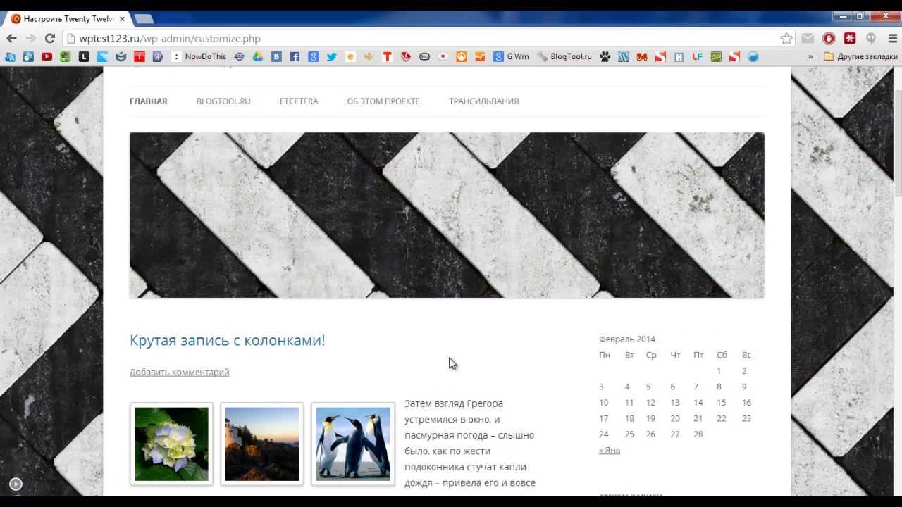 Установка и настройка темы WordPress