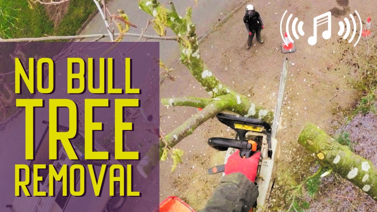 Arborist Tree Removal | No Bull, just tree removal video set to music.