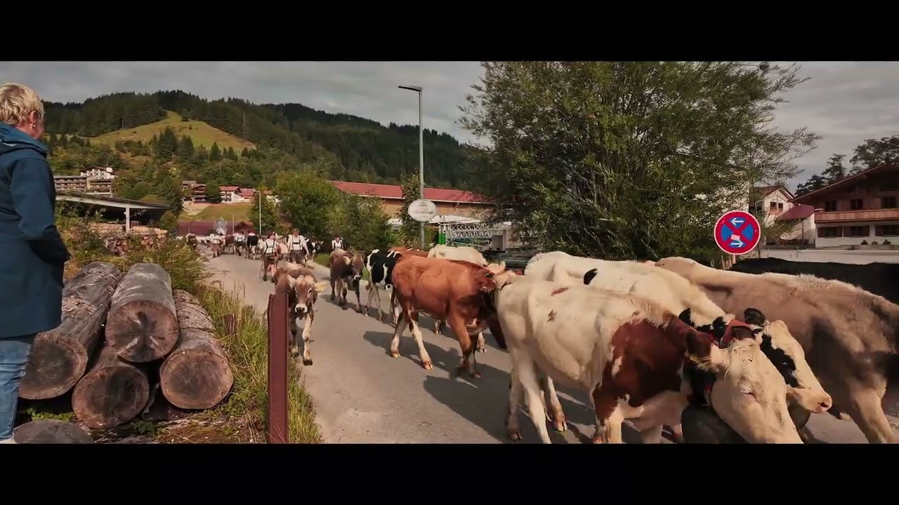 Viehscheid Pfronten 2025