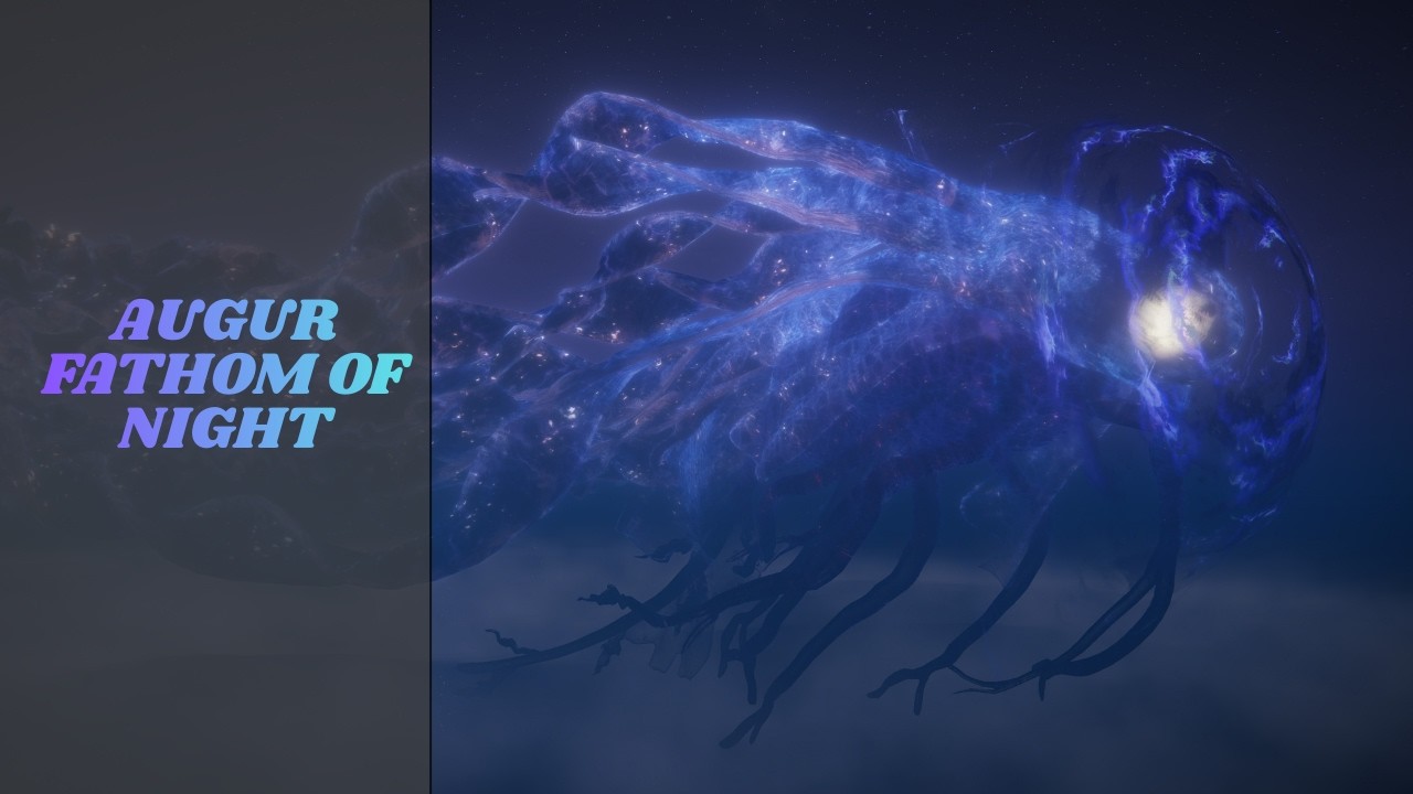 Elden Ring Veteran Vs Augur Fathom of Night