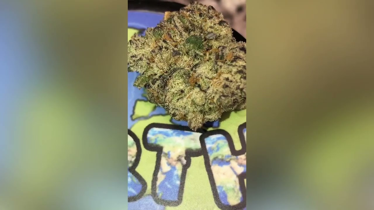Gary Payton x Fish Scale Strain Review (Smk Brk 420)