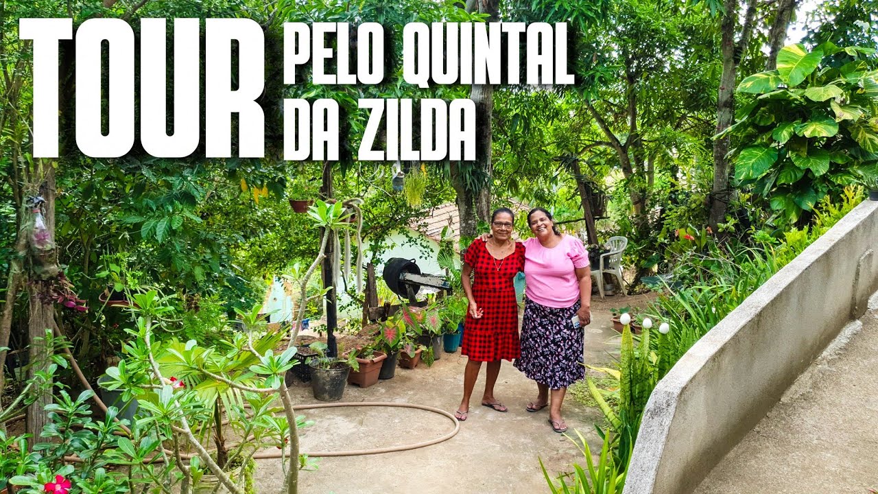 TOUR PELO QUINTAL DA ZILDA: UM QUINTAL LINDO CHEIO DE MEMÓRIAS AFETIVAS | PLANTAS DA VÓ | RECICLAGEM