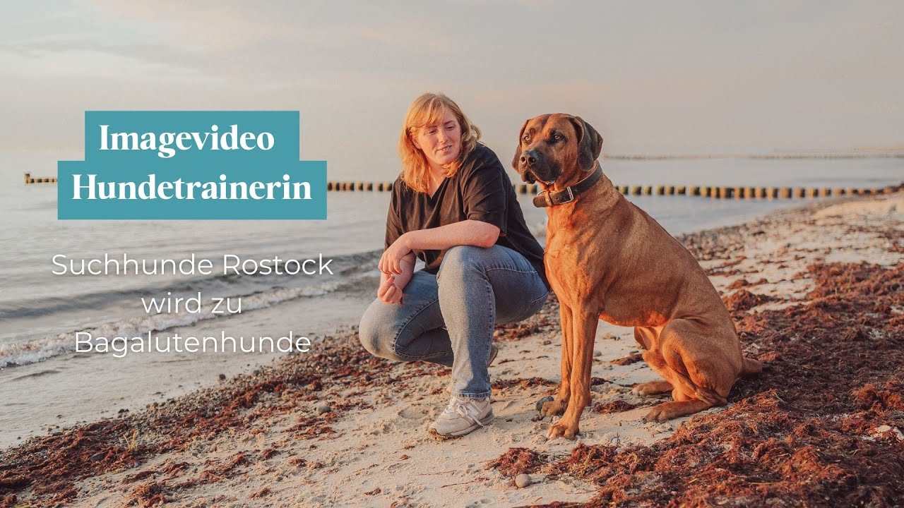 Imagevideo Bagalutenhunde Rostock - Hundetrainerin