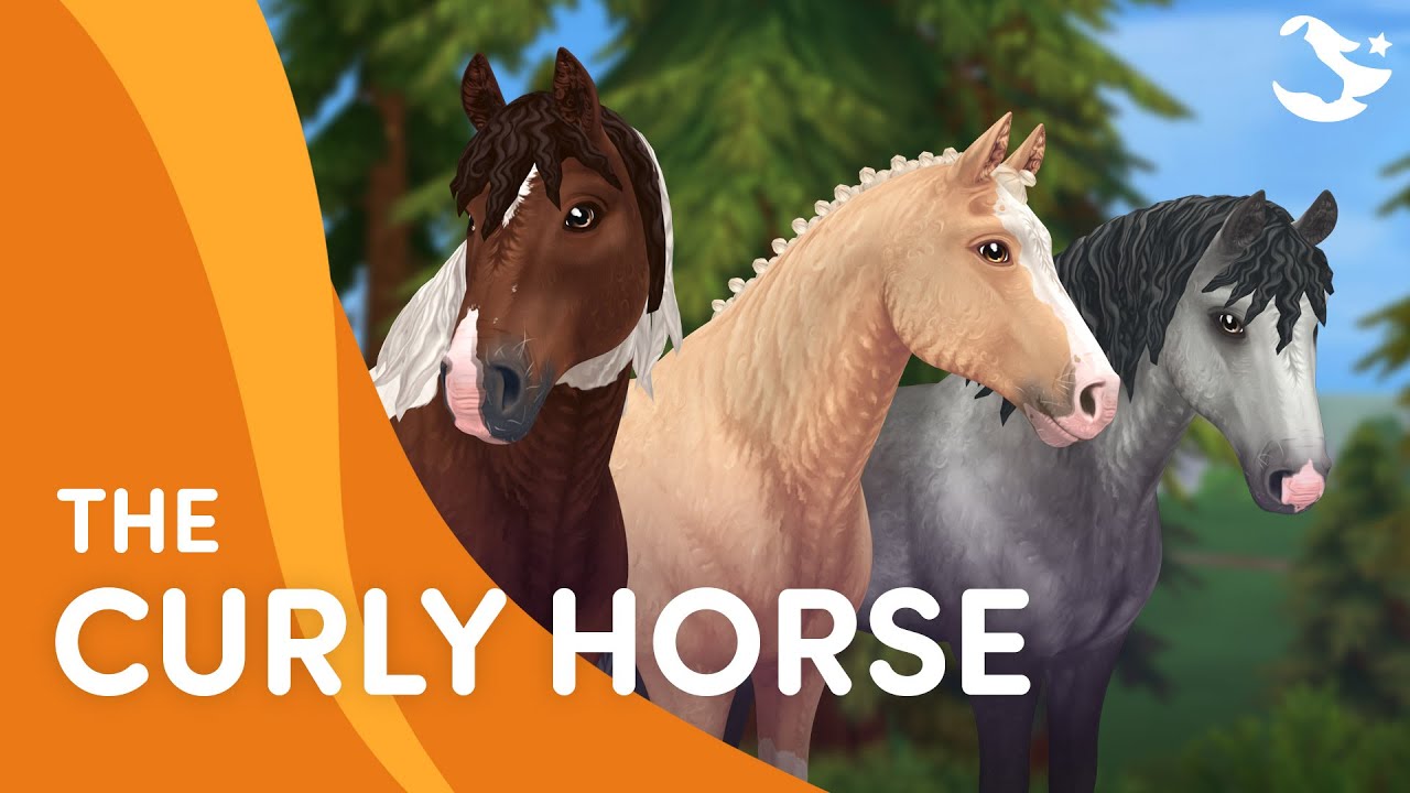 The Curly Horse ✨ | Star Stable Breeds