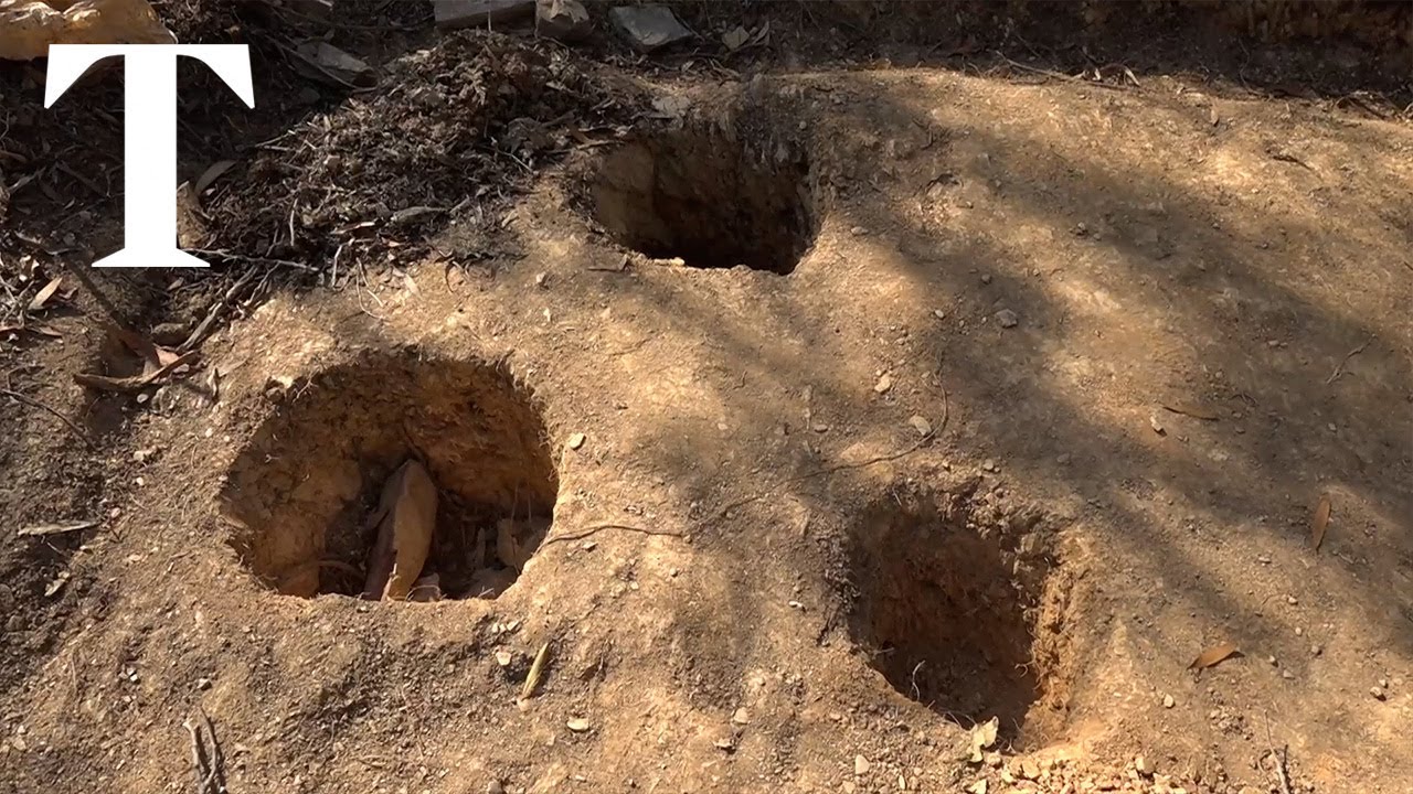 Madeleine McCann: ‘Clue found’ in reservoir search