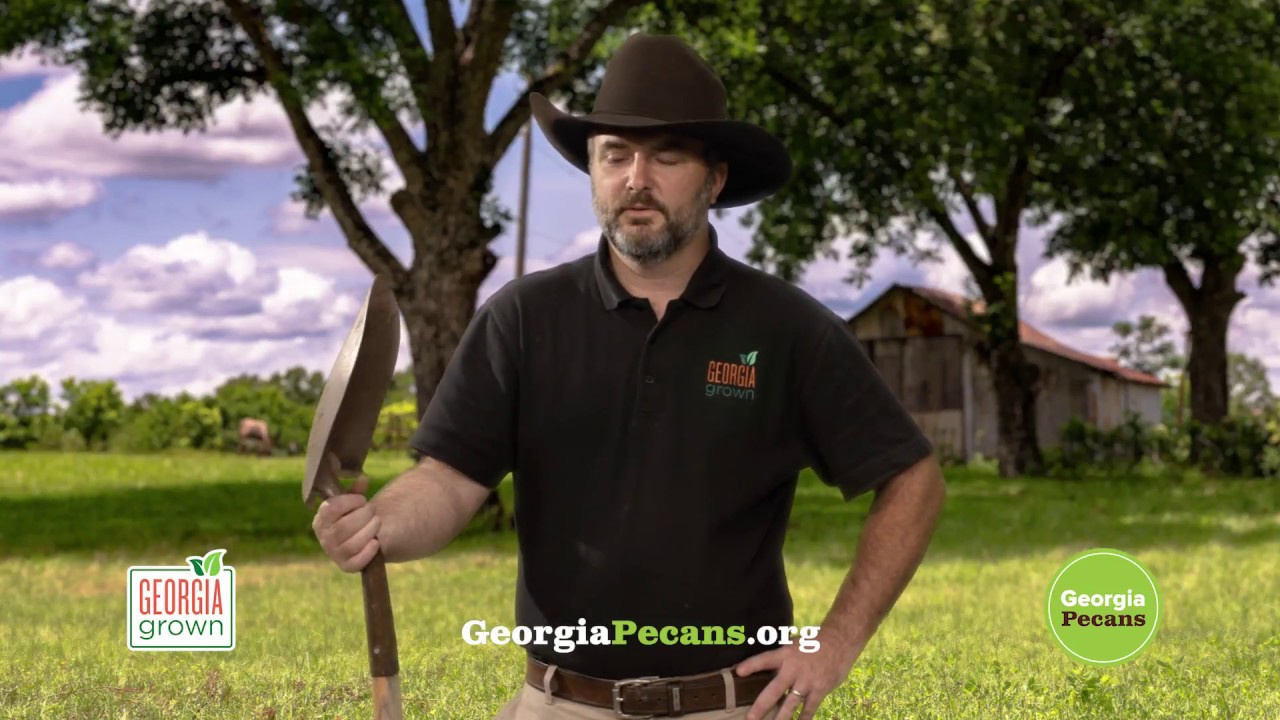 Georgia Grown Pecans: Perfect for any Occasion!