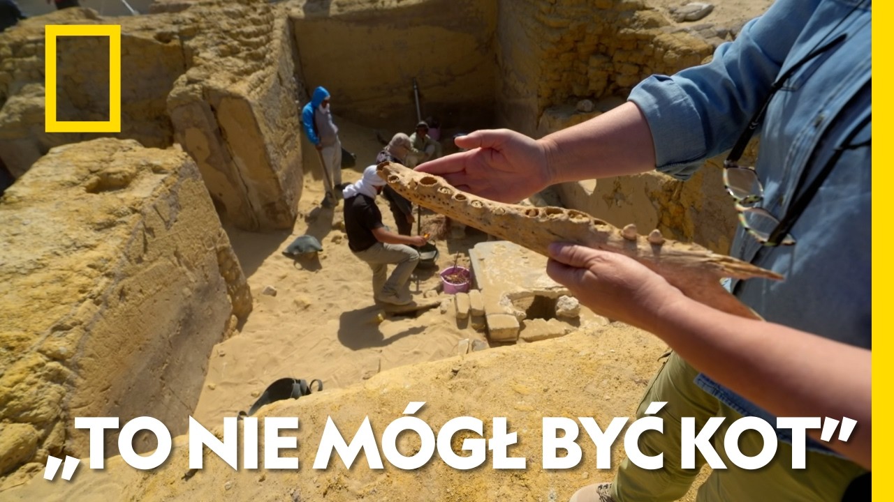Rozwiązali zagadkę mumii krokodyli znalezionych w egipskiej świątyni | Egipt: miejsce pełne tajemnic