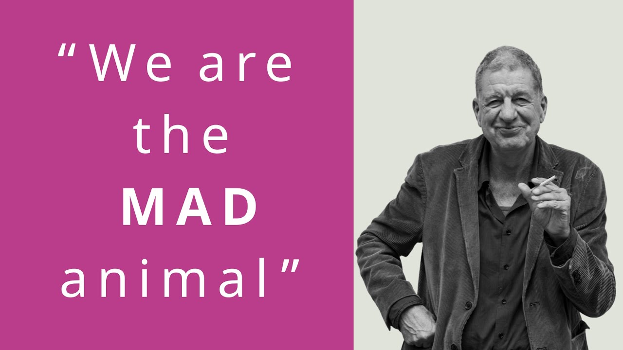 What is the Human? Phenomenology, Kant and Existentialism