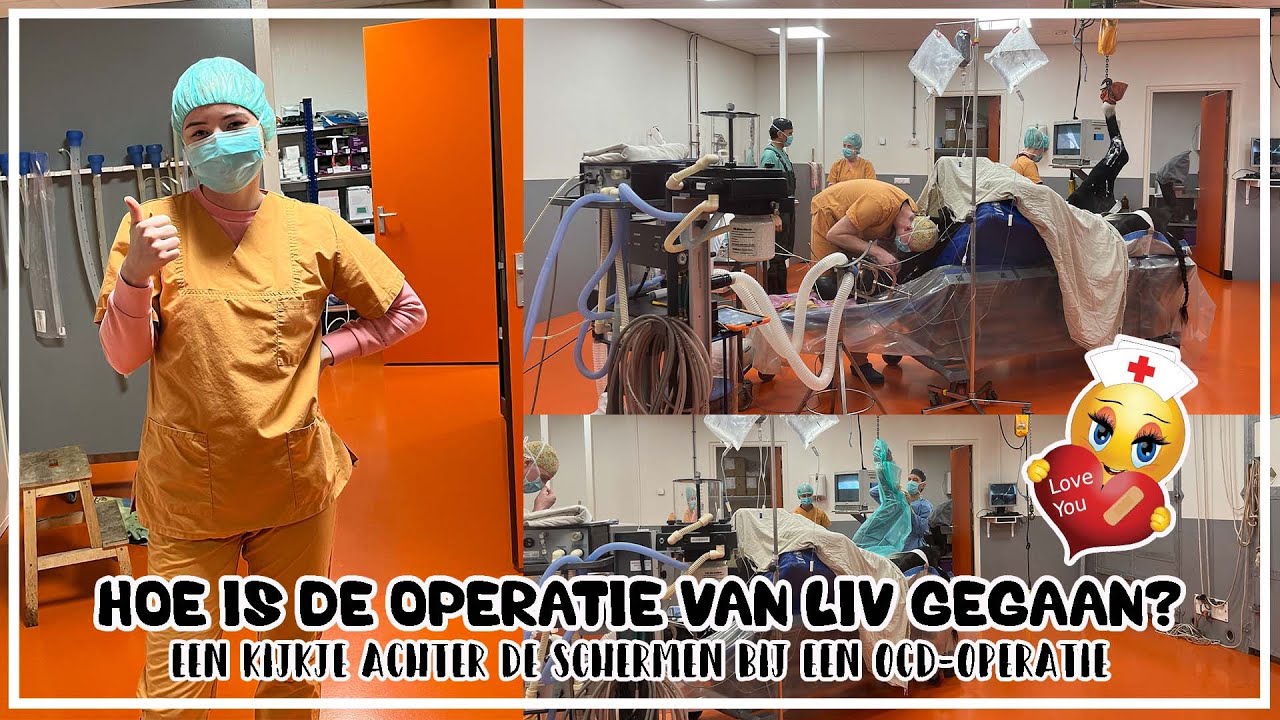 Hoe is de OCD operatie van Liv gegaan?😱 #live #meekijken #joanneneidhoferhorses #vlog396