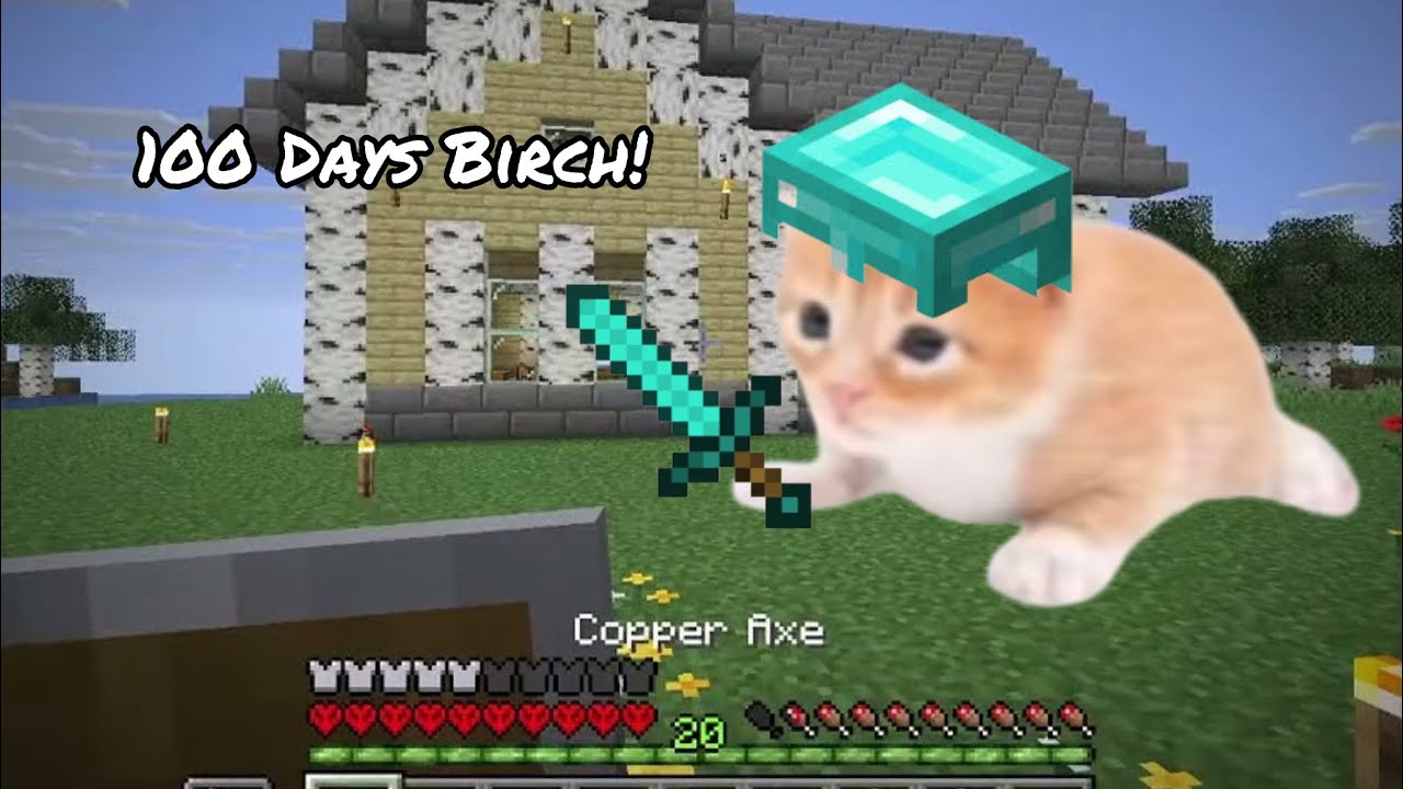 Birch Only Hardcore: Chapter 1: Beginnings - 1/3