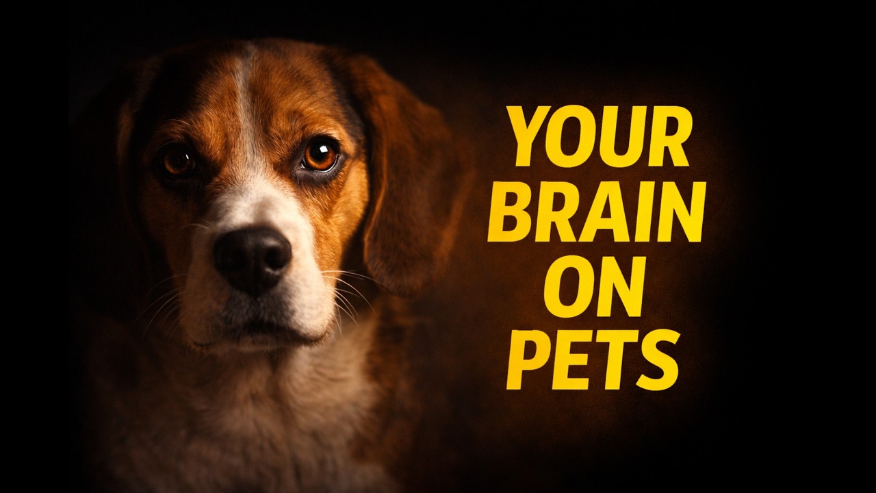 Your Brain Thinks Your Pet Is Family