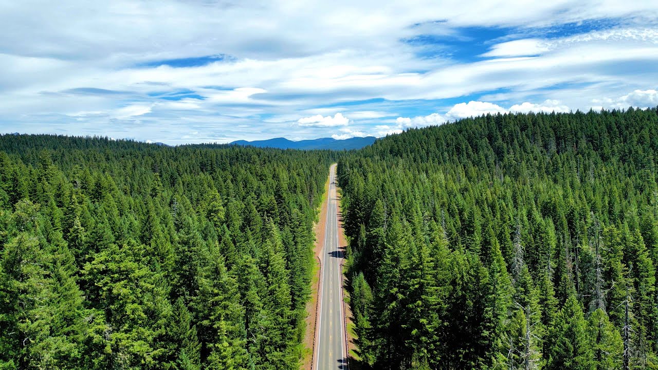 All Over Oregon