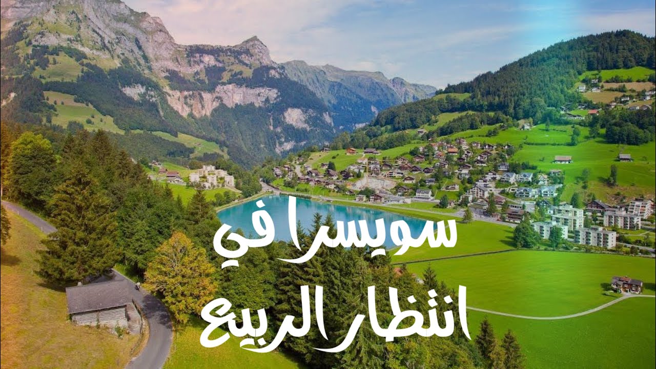 قبل قبل ما يوصل الربيع… سويسرا تبدأ في الإزهار! 🇨🇭