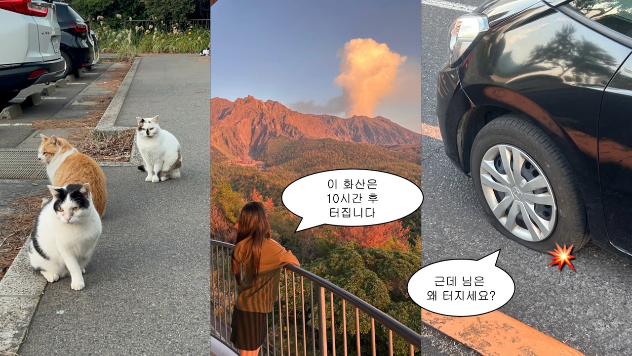 일본 가고시마 여행: 폭발 직전 사쿠라지마🌋, 이부스키 료칸♨️, 렌트카 사고 대응 방법🚗, 고구마소주 추천🍠