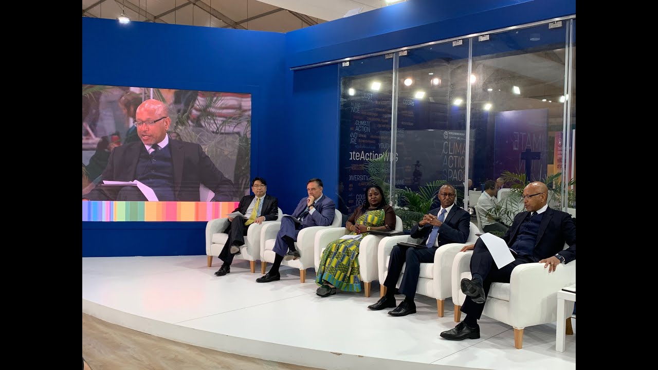 Accelerating Sub-Saharan Africa Energy Access with Distributed Renewable Energy