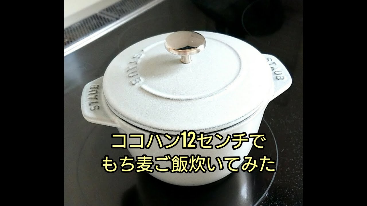 staubココハン12センチでもち麦ご飯炊いてみた