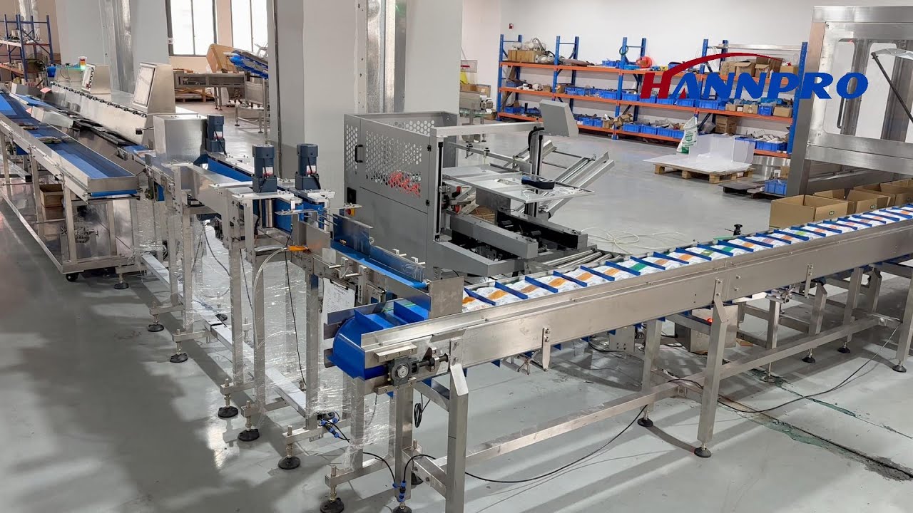 Custom soup pouch case packing line（Sorting + AI Inspection + Uniform Backing + Cartoning）