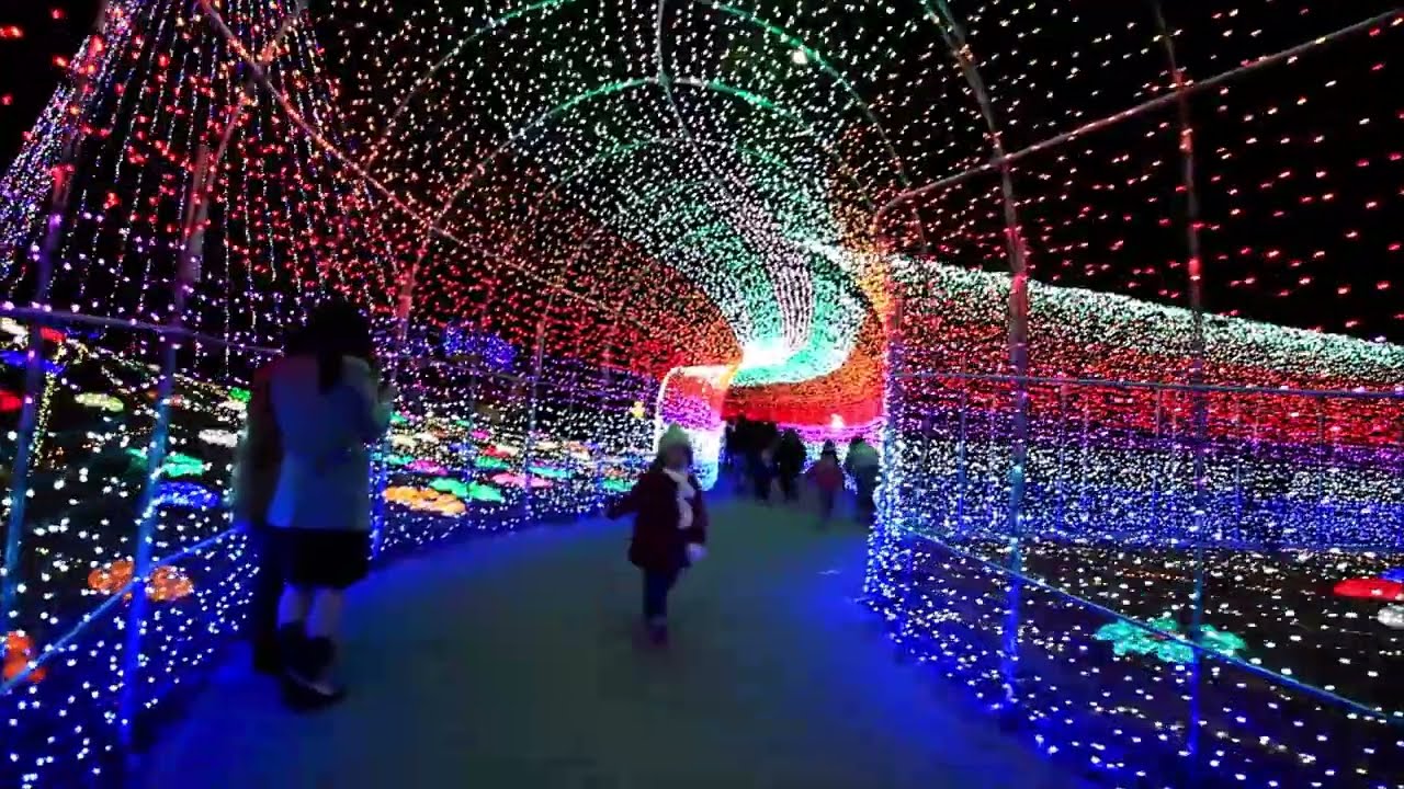 na011袖ヶ浦市東京ドイツ村イルミネーション