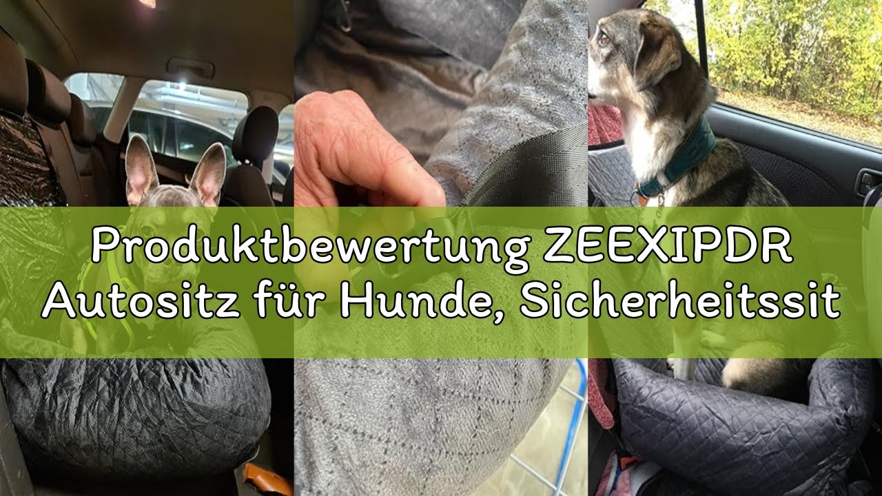 Produktbewertung ZEEXIPDR Autositz für Hunde, Sicherheitssitz für Haustiere, für Jede Art von Auto g