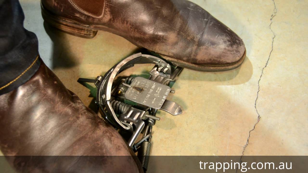 How to Set a Rabbit Trap