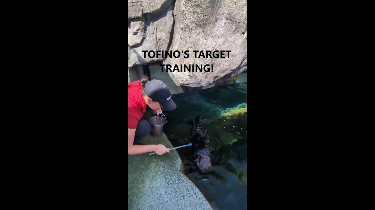 Tofino's target training!
