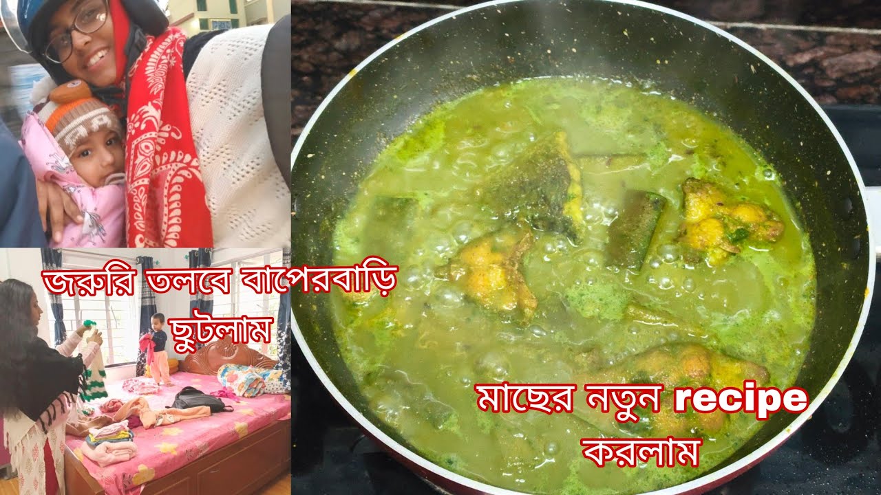 মাছের একটা নতুন recipe করলাম... হঠাৎ মায়ের জরুরি তলব, বাপের বাড়ি যেতে হলো